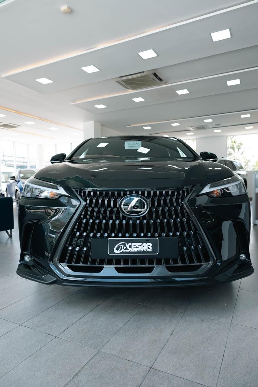 2027 Lexus RX — foto 9